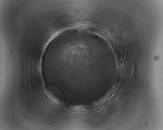 X0000100380100200806061228