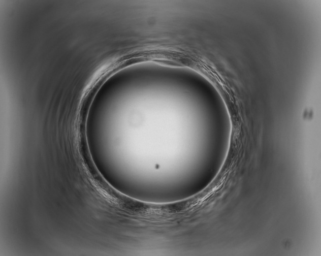 X0000100380101200806061228