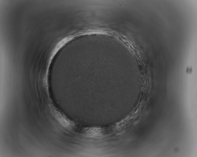 X0000100380104200806061228