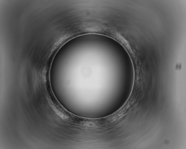 X0000100380106200806061228