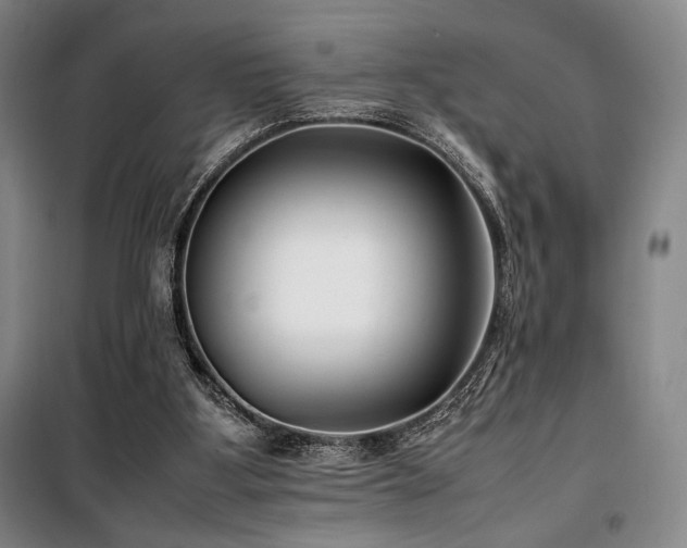 X0000100380107200806061228