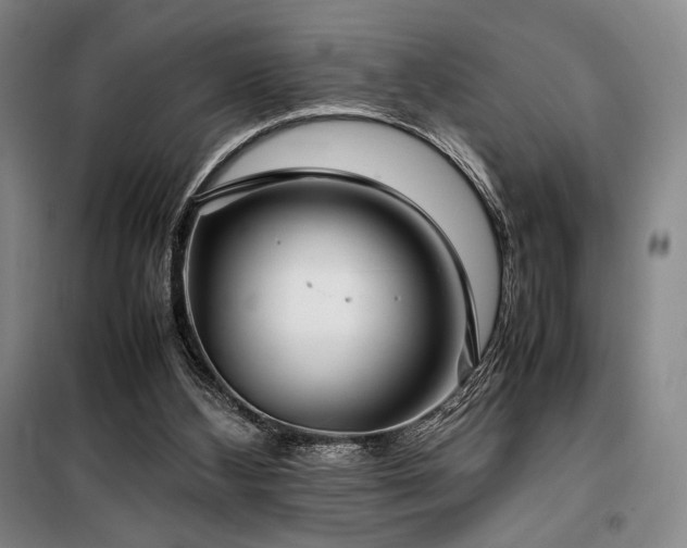 X0000100380108200806061228