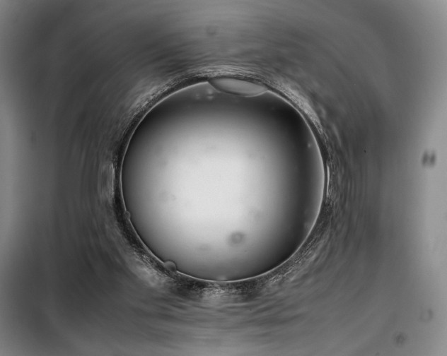 X0000100380109200806061228
