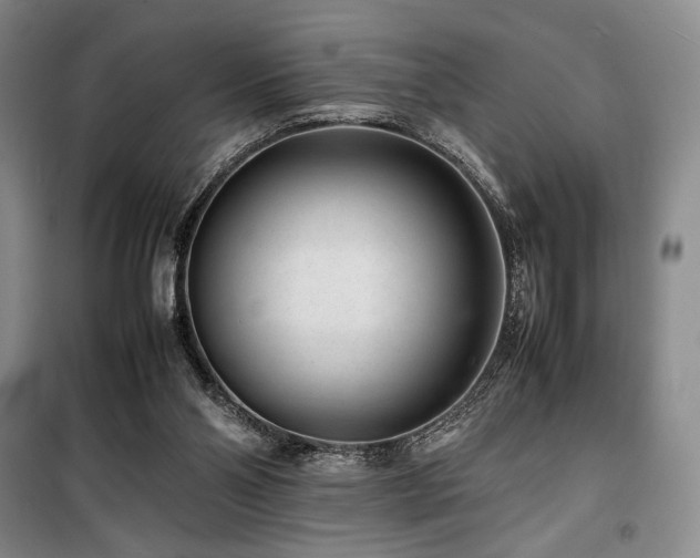 X0000100380110200806061228