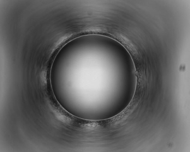 X0000100380112200806061228