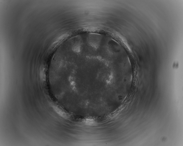 X0000100380114200806061228