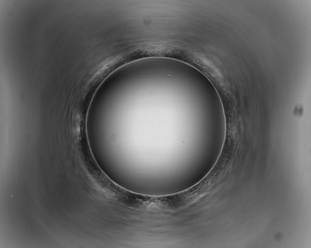 X0000100380115200806061228