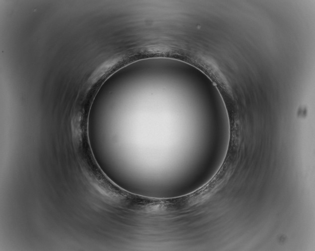 X0000100380116200806061228