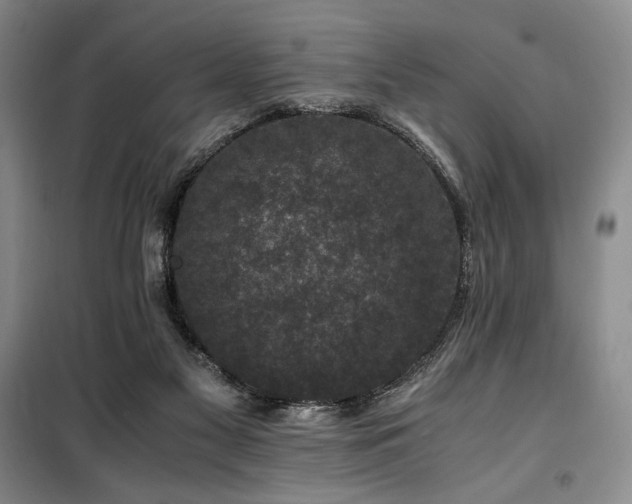 X0000100380117200806061228