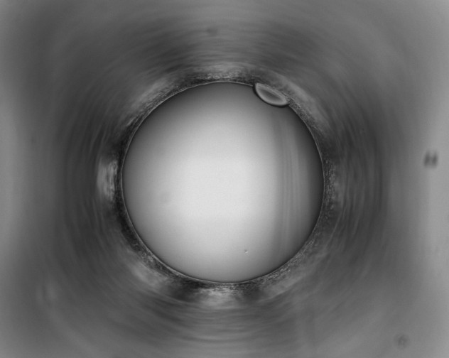 X0000100380118200806061228