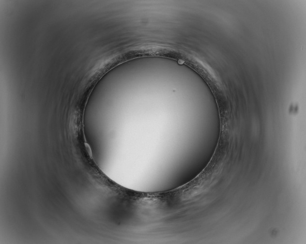 X0000100380119200806061227