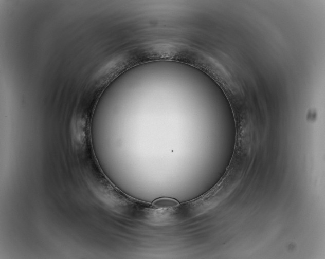 X0000100380122200806061227