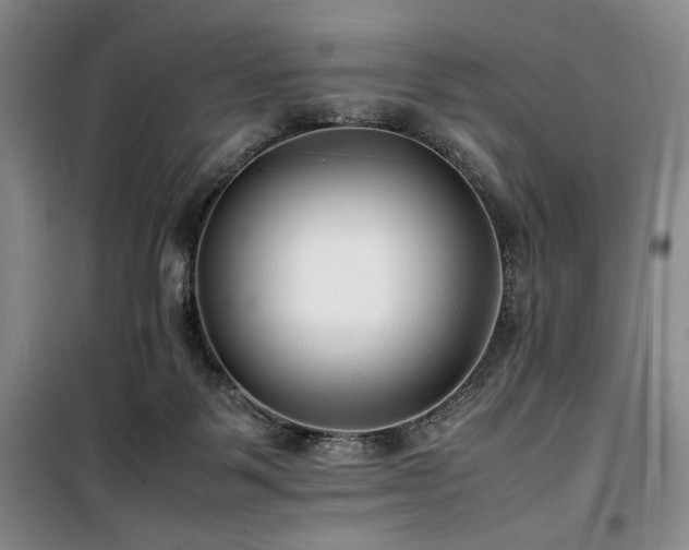 X0000100380123200806061227