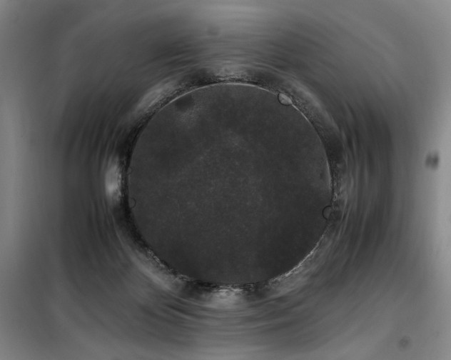 X0000100380124200806061227