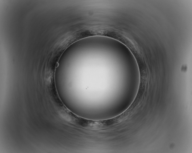 X0000100380125200806061227