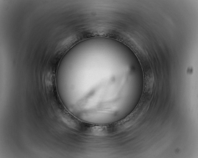 X0000100380126200806061227