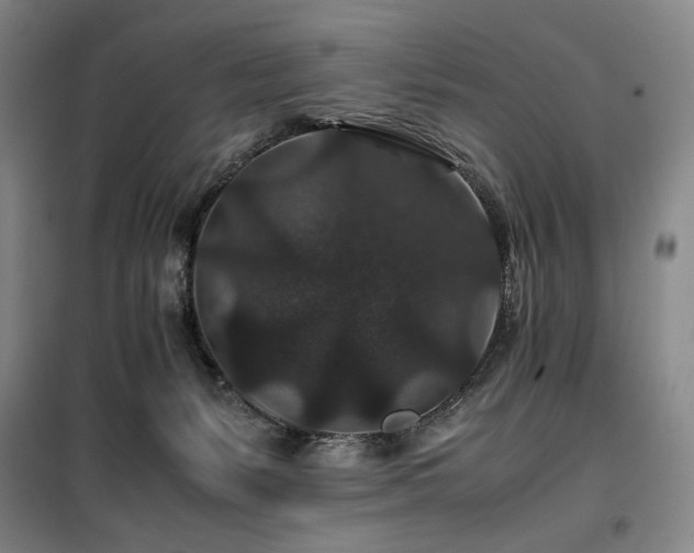 X0000100380127200806061227