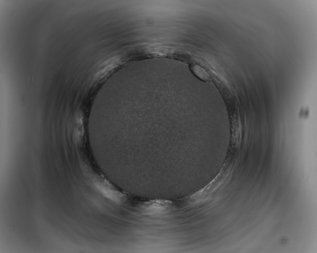 X0000100380128200806061227