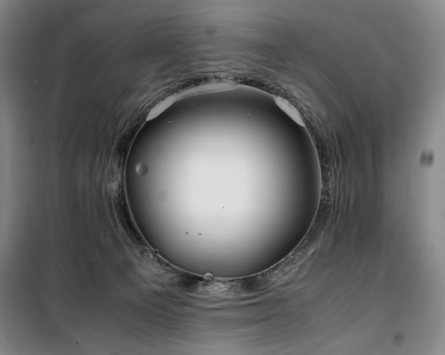 X0000100380129200806061227