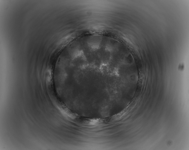 X0000100380130200806061227