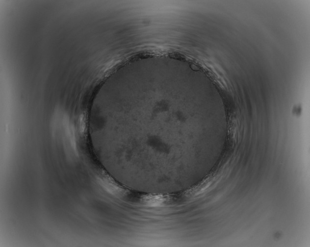 X0000100380131200806061227