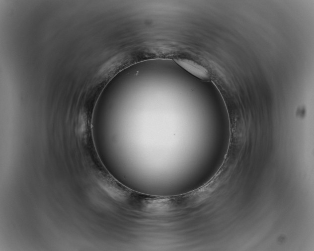 X0000100380132200806061227