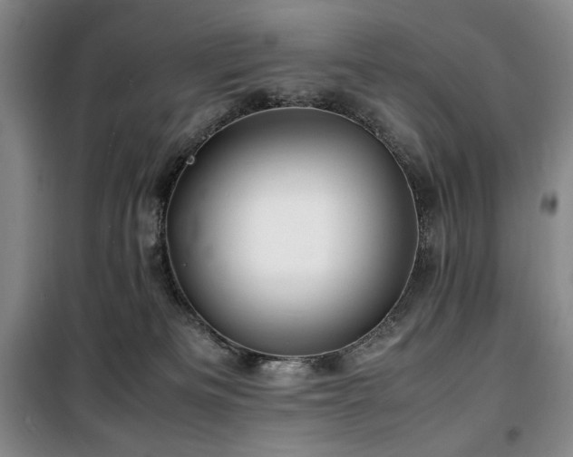 X0000100380133200806061227