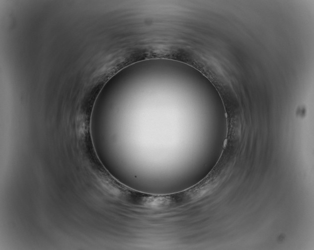 X0000100380135200806061227