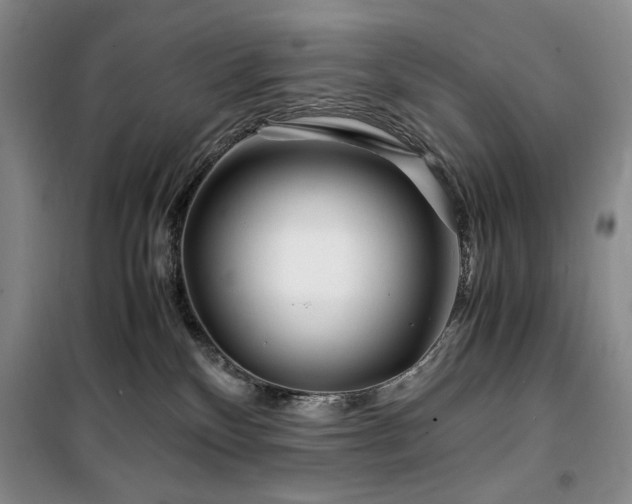 X0000100380136200806061227