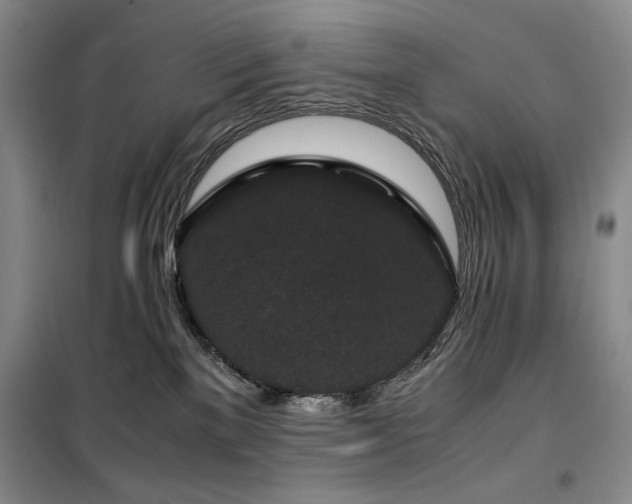 X0000100380137200806061227
