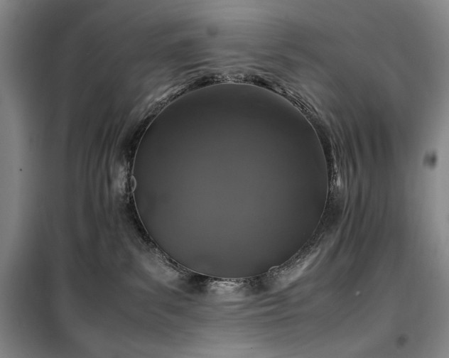 X0000100380139200806061227