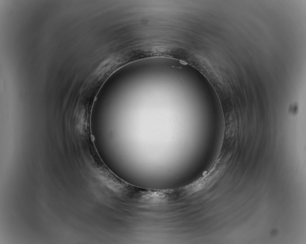 X0000100380140200806061227