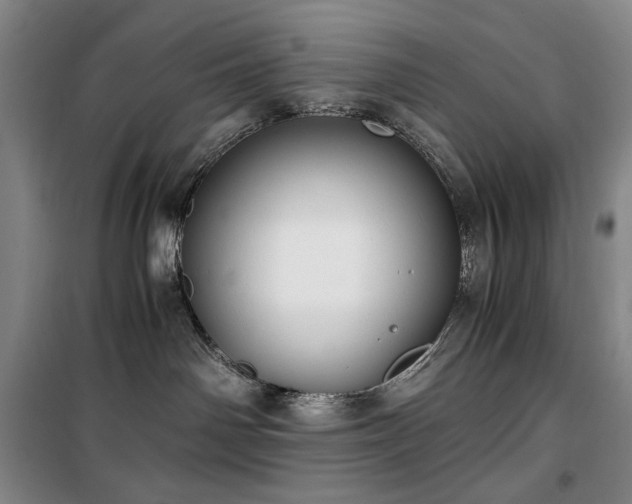 X0000100380142200806061227