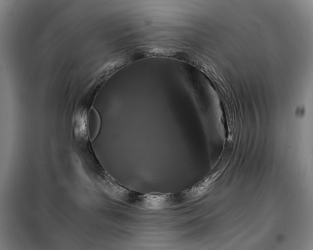 X0000100380143200806061227