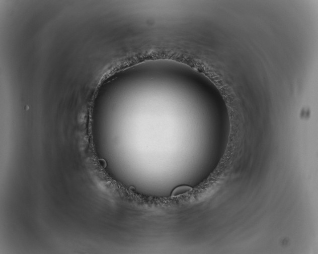 X0000100380144200806061227