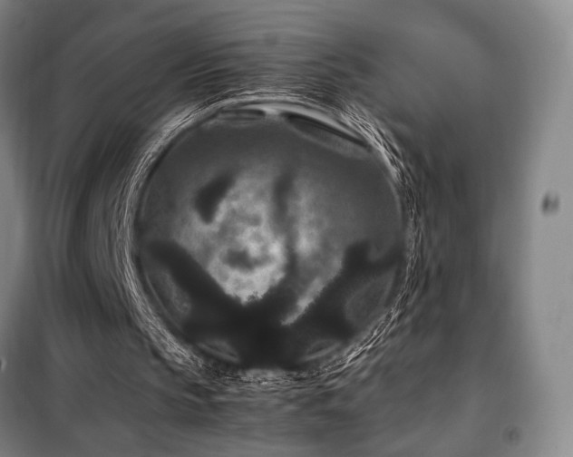 X0000100380145200806061226