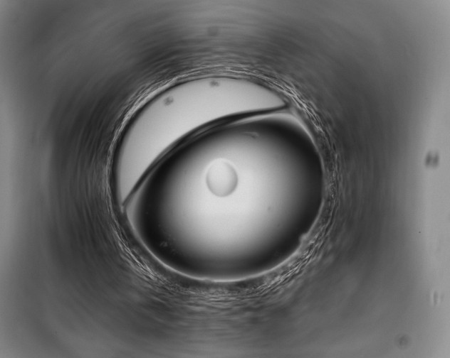 X0000100380146200806061226