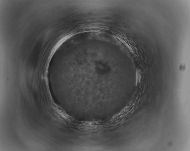 X0000100380147200806061226
