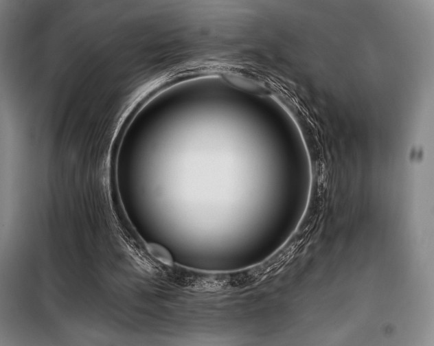 X0000100380148200806061226
