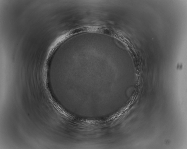 X0000100380149200806061226