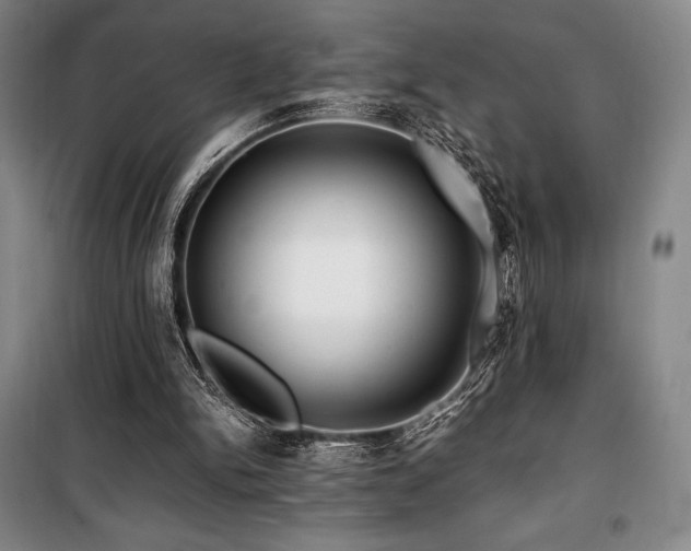 X0000100380150200806061227