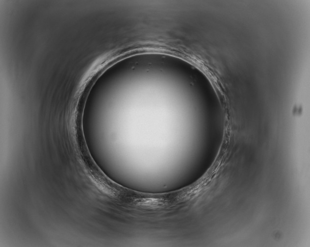 X0000100380151200806061227