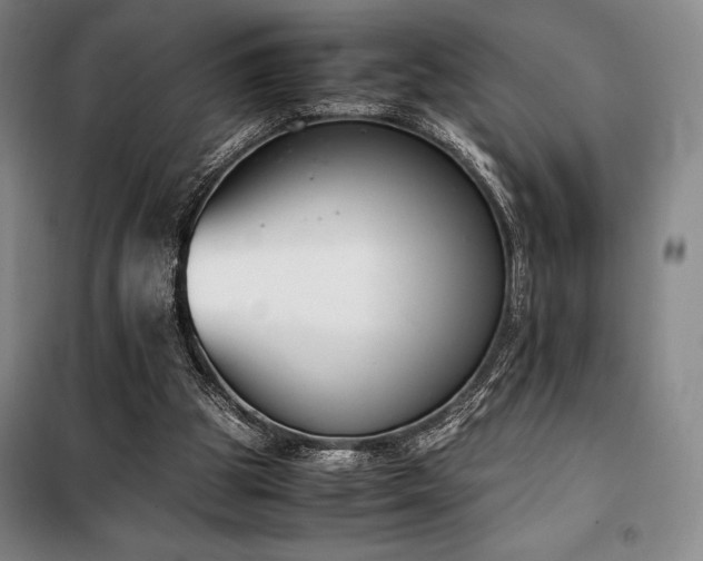 X0000100380153200806061227