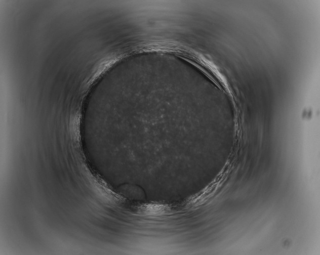X0000100380154200806061227