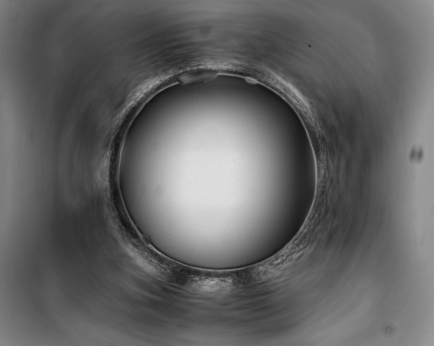X0000100380155200806061227