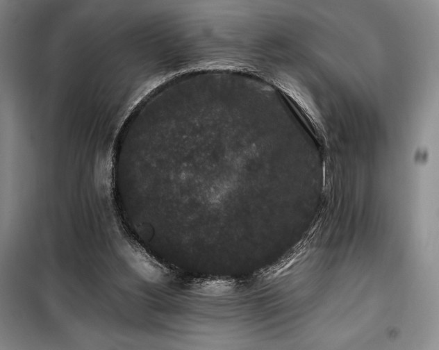 X0000100380156200806061227