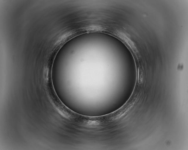 X0000100380157200806061227