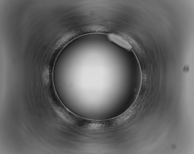 X0000100380158200806061227