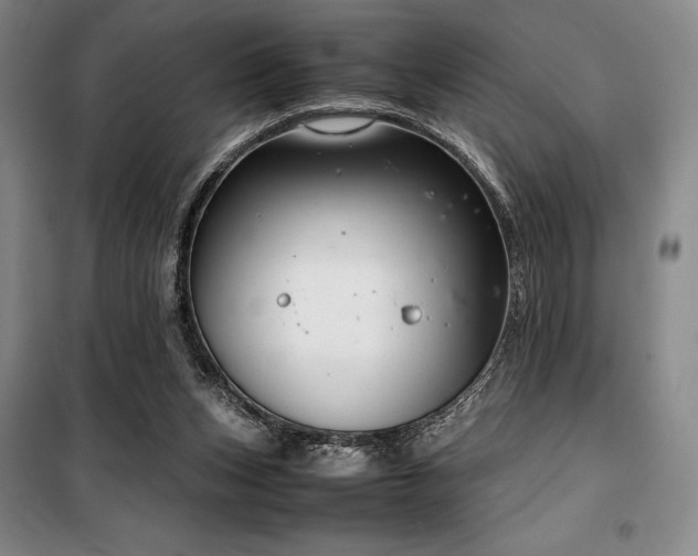 X0000100380159200806061227