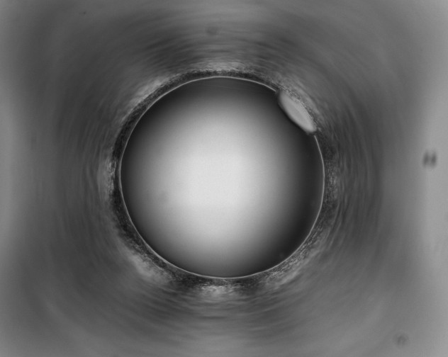 X0000100380160200806061227